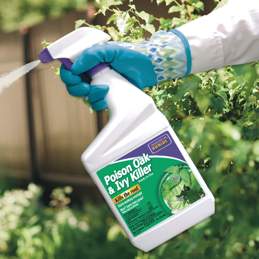 Poison Ivy & Oak Killer Spray- Bonide – 32 oz